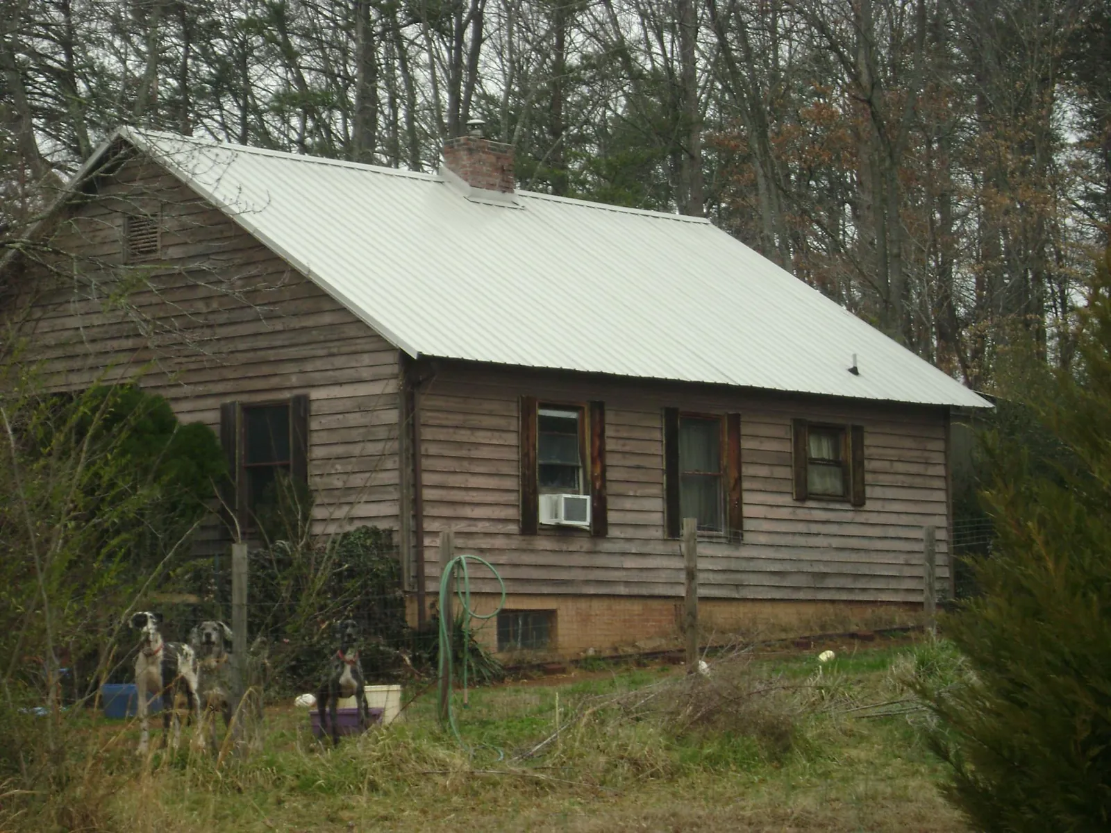 White metal roof on an old wood sided farmhouse, from a Metal Roof Installation job in Palm Harbor